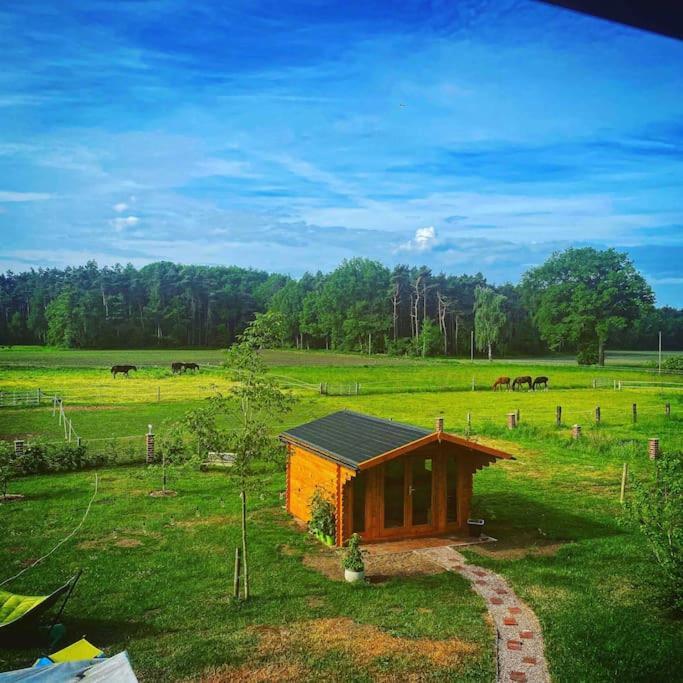 Wunderschoene Ferienwohnung Auf Dem Bauernhof جريفن المظهر الخارجي الصورة