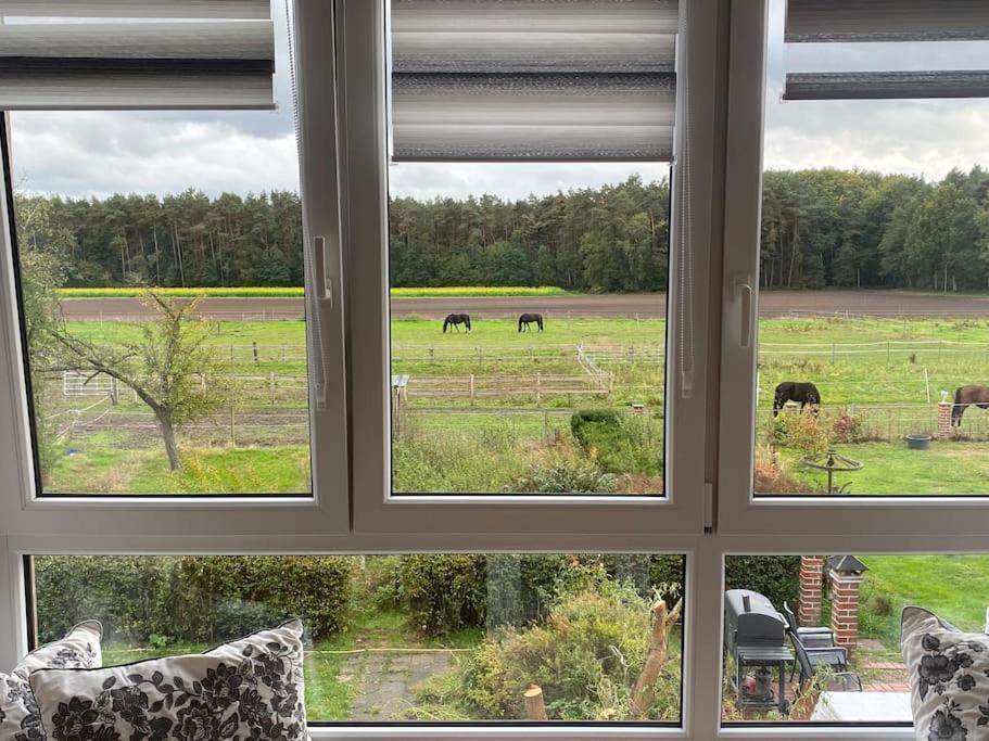 Wunderschoene Ferienwohnung Auf Dem Bauernhof جريفن المظهر الخارجي الصورة