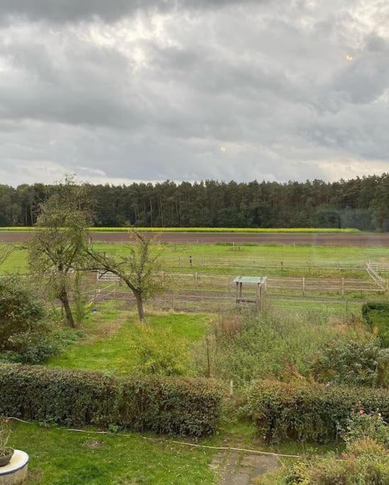 Wunderschoene Ferienwohnung Auf Dem Bauernhof جريفن المظهر الخارجي الصورة
